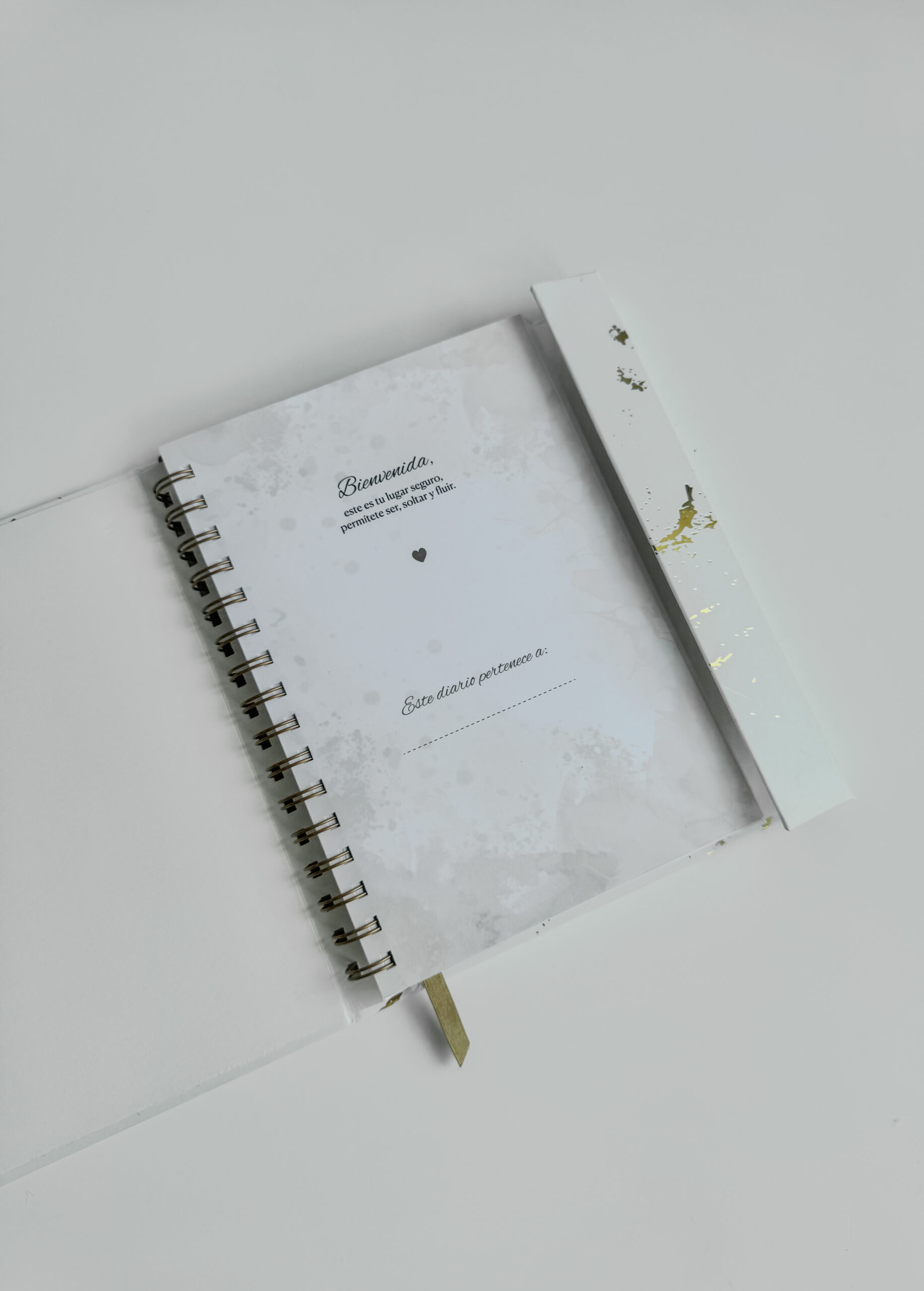 DIARIOS CON DIOS - Imagen 3