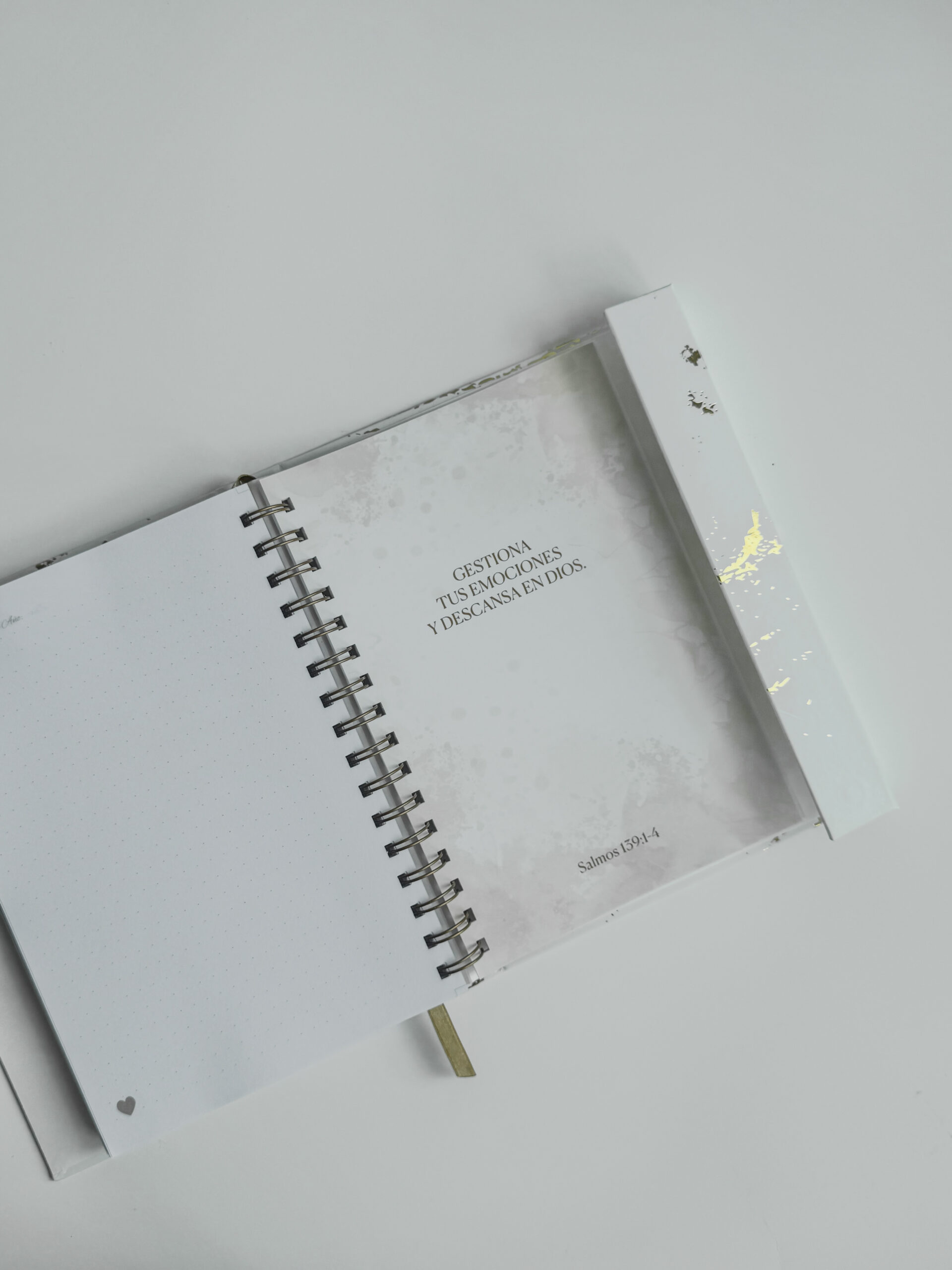 DIARIOS CON DIOS - Imagen 8